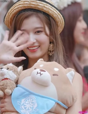 Sana holding a Shiba dog doll.