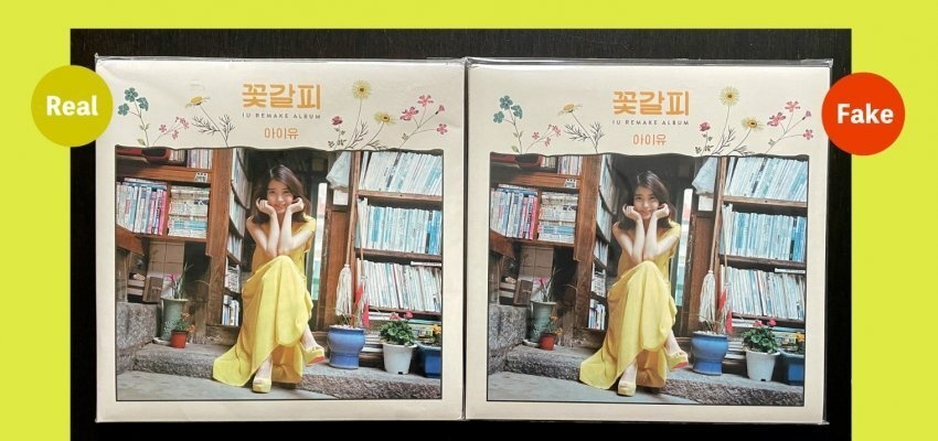 IU, China, Sells illegal copies