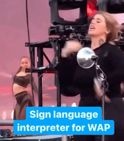 CardiB Moisturizing Bo sign language performance.gif