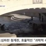 A reporter who enjoys summer vacation at Cheonggyecheon Stream.gif