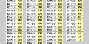 Checking the age of 2022 in Korean.jpg