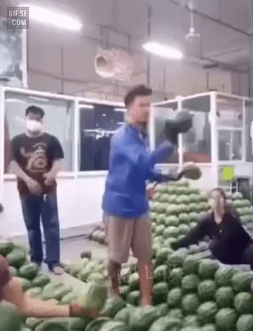 a watermelon expert