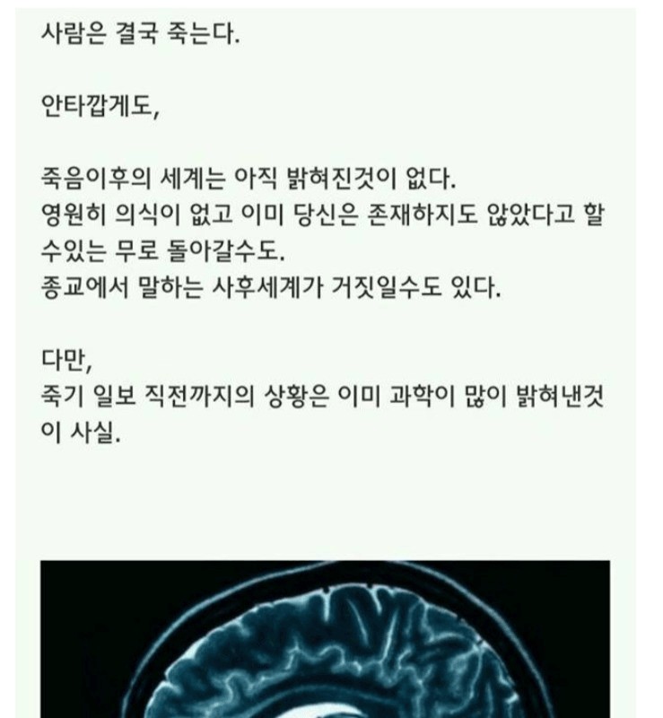 죽기 직전 분비되는 엔돌핀