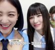 (SOUND)JIHYO and SANA, the new members of MBTIE