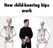 the difference between a man and a woman's pelvis