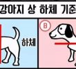 (SOUND)"Running Man" controversy over dog's upper and lower body.