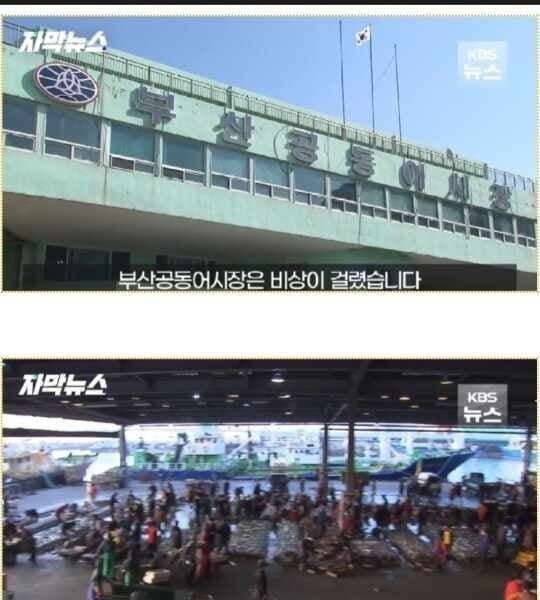 The recent situation at Busan Fish Market where the perm is crazy.jpg