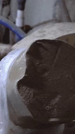 Daiso earthen pot, which is unexpectedly well-made, is ding ding ding gif