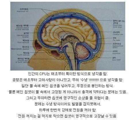 Human Development of CPU Cooling Technology