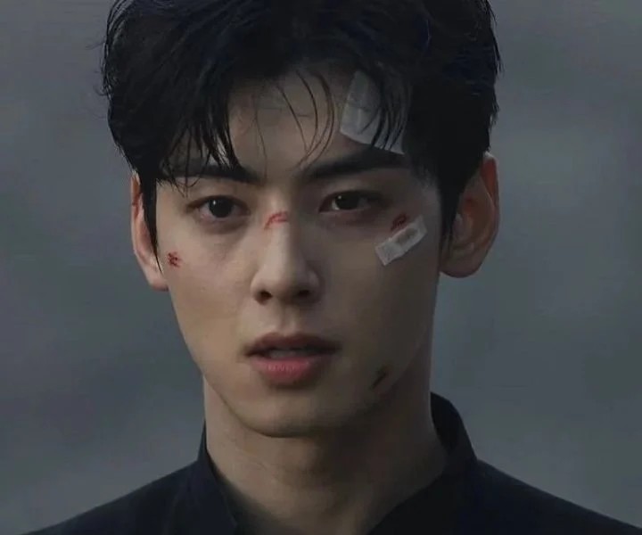 A Japanese person who looks like Cha Eun-Woo