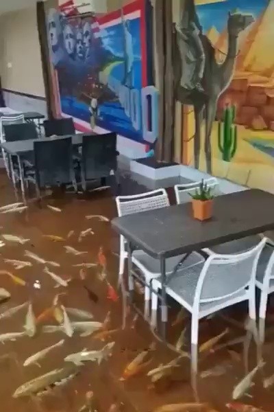 (SOUND)A unique cafe in Thailand