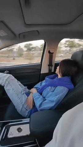 Seatbelts are essential gifs