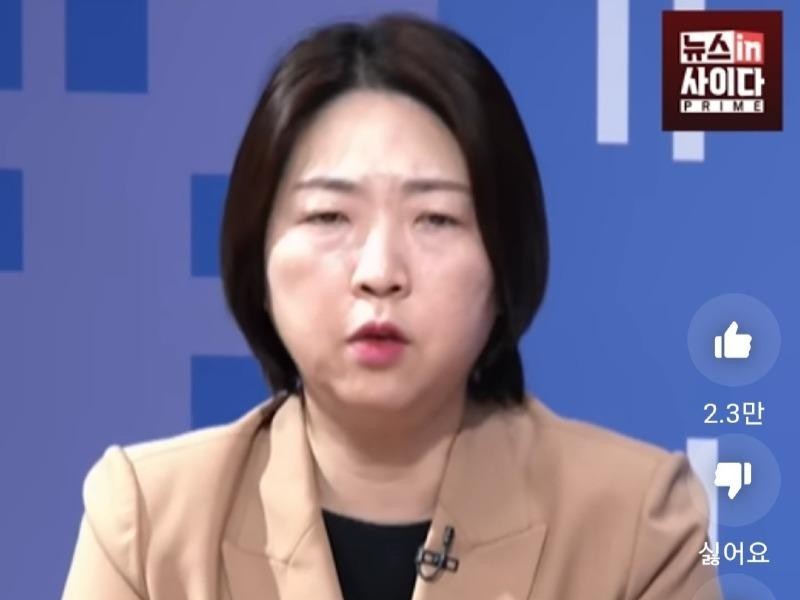 Lawyer Jang Yoon-mi's Special Prosecutor's Remarks