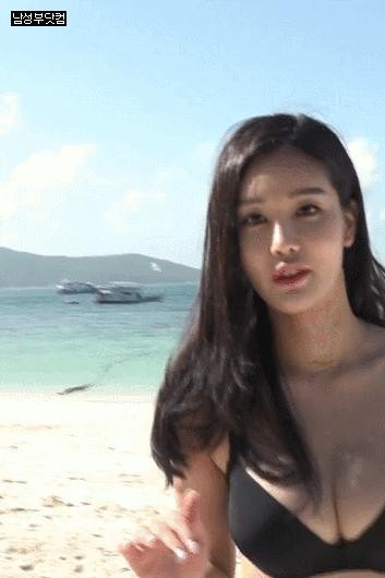 hh sexy bag sister gif