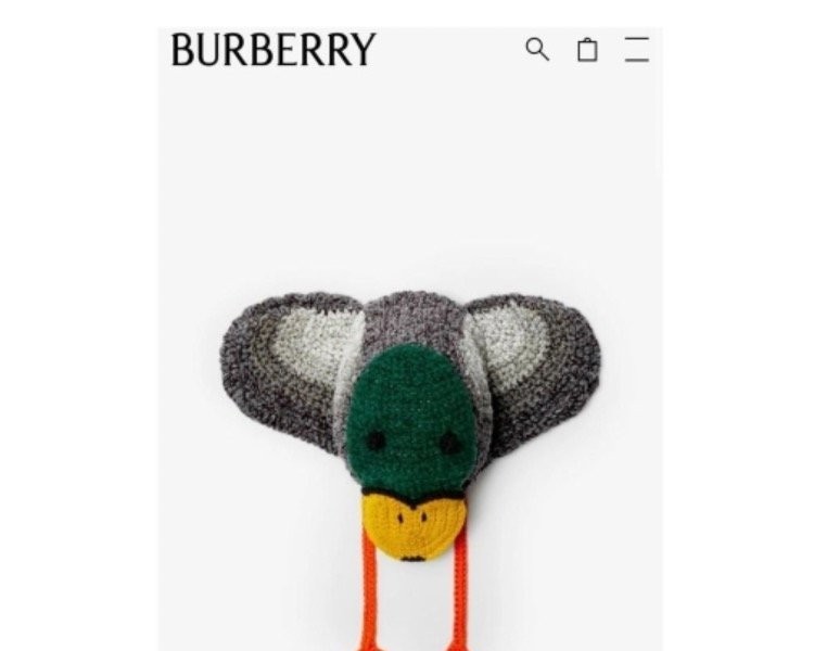 Burberry’s new 5.5 million won hat.jpg