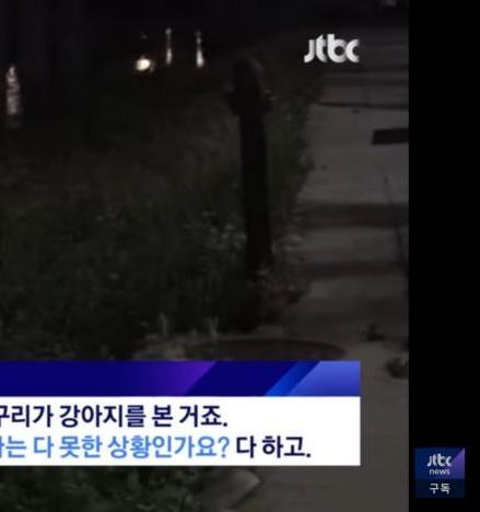 Interview with legend of Seoul people when raccoons appeared in downtown Seoul